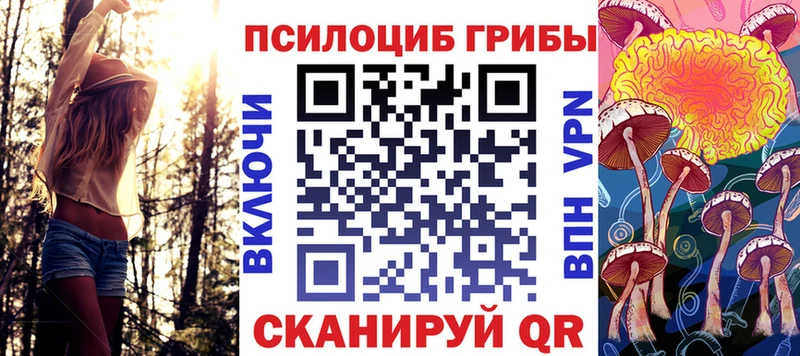 купить наркоту  blacksprut вход  Псилоцибиновые грибы мицелий  Елец 